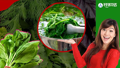Spinach Water Benefits