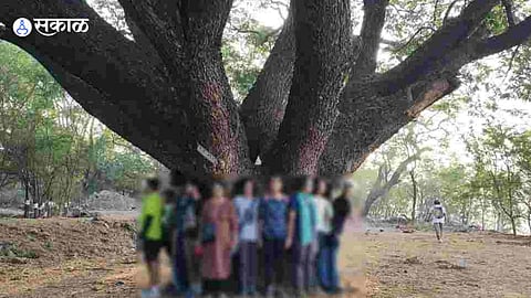 Pune Chipko Andolan