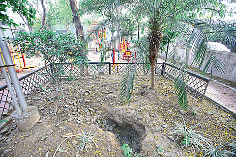 गार्डन 