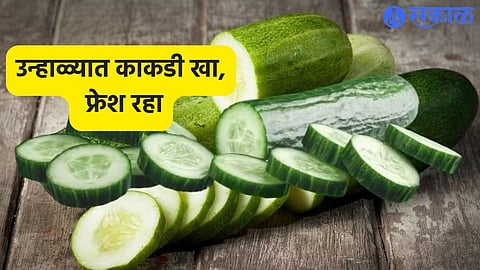 Benefits of Cucumber : सकाळी उपाशी पोटी हे फळ खाल तर उन्हाळ्यात डिहायड्रेशन होणारच नाही!
