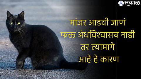 Superstition