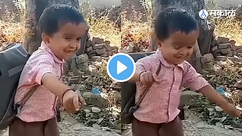 Video Viral 