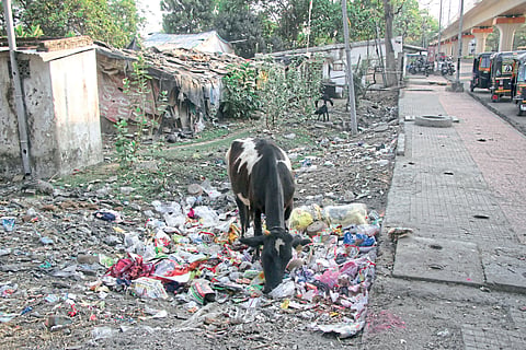 अस्वच्छता 