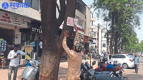 Nail Free Tree campaign