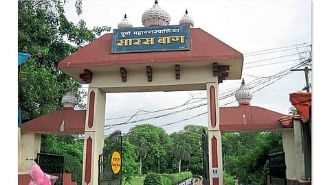 sarasbaug