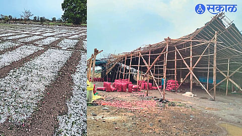 A layer of hailstones steaming from many fields on the ghats. Wind damage to onion shed.