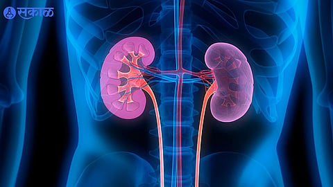 Symptoms Of A Swollen Kidney 