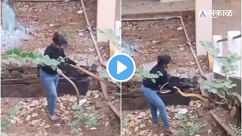 Viral Video 