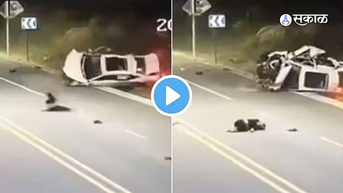 Viral Video