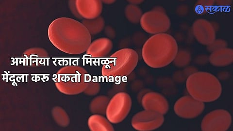 Foods Reduce Ammonia