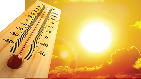 Summer Temperature