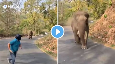 Viral Video