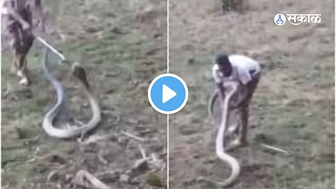 Viral Video 