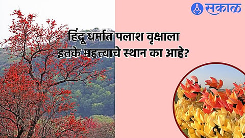 Palash Tree Unknown Facts
