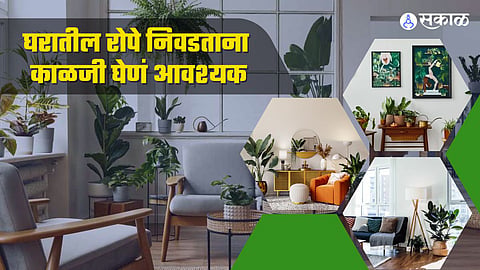 झाडांमधून घराची सजावट