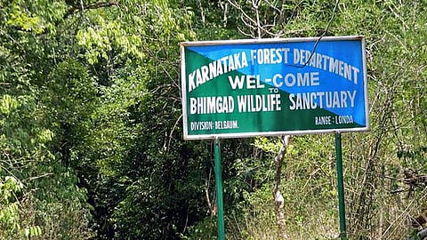 Bhimgad Wildlife Sanctuary Karnataka