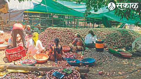 17 tractor summer onion storage
