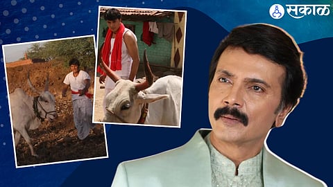 Milind Gawali Post