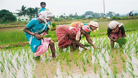 PM kisan yojana