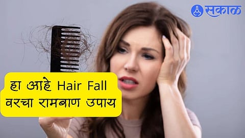 Hair Fall Control Tips