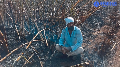 Jankiram Patil sitting in the burnt field.
