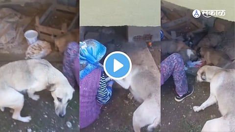 Viral Video