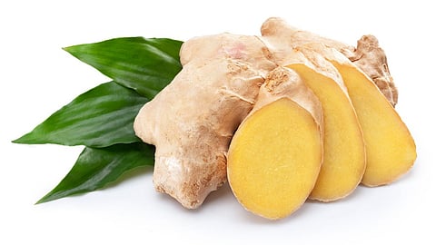 ginger 