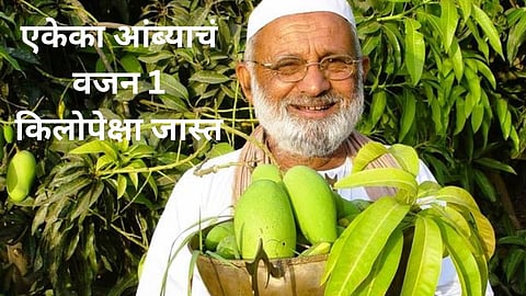 Mango Man