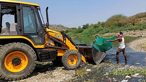 fish death in jambhulwadi lake effect health citizen Disposal of Dead Fish in Jambhulwadi Lake
