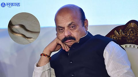 Karnataka Election 2023