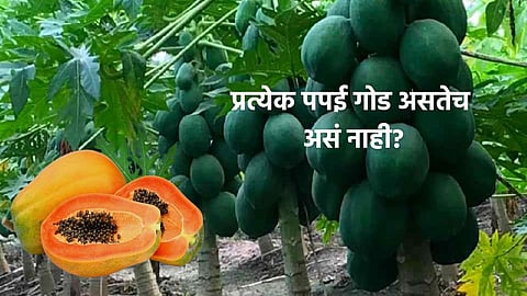 Fruits Buying Tips 