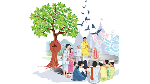 Conservation of forests