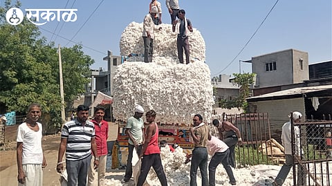 Farmer Sunil Bunkar selling cotton stored for six months.
