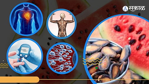 Watermelon Seeds Benefits