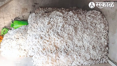 Cotton stored in the house