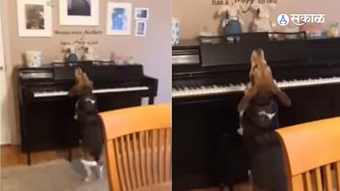 Viral Video