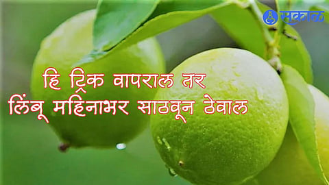 How to Store Lemons to keep fresh