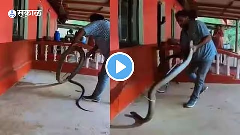 Video Viral