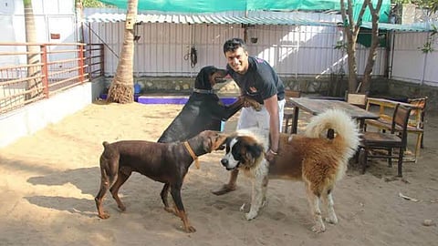 animal orphanage 