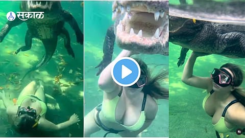Viral VIdeo