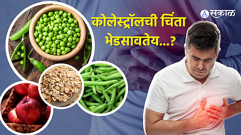 शरीरातून काढून टाका LDL