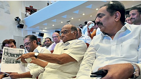 ncp sharad pawar