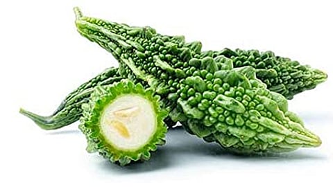 Bitter Gourd Health Tips 