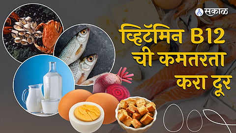 Vitamin B12 rich foods