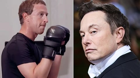Elon Musk Mark Zuckerberg Cage Fight
