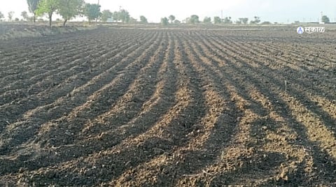 Farmer rains are prolonged sowing delayed agriculture weather forecast monsoon ahmednagar 