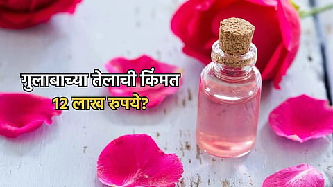 Damask Rose Oil