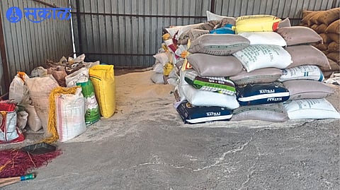 A sack of wheat and rice found by Collector Aman Mittal in the godown.
