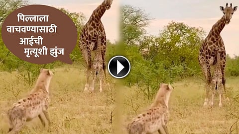 Viral Video