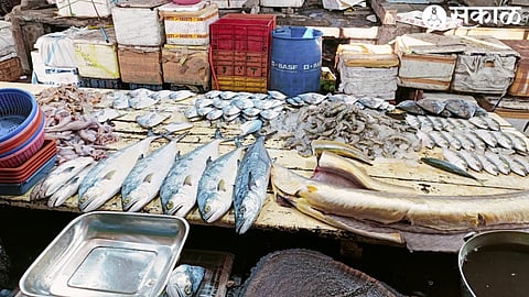 Fish Rates Hike